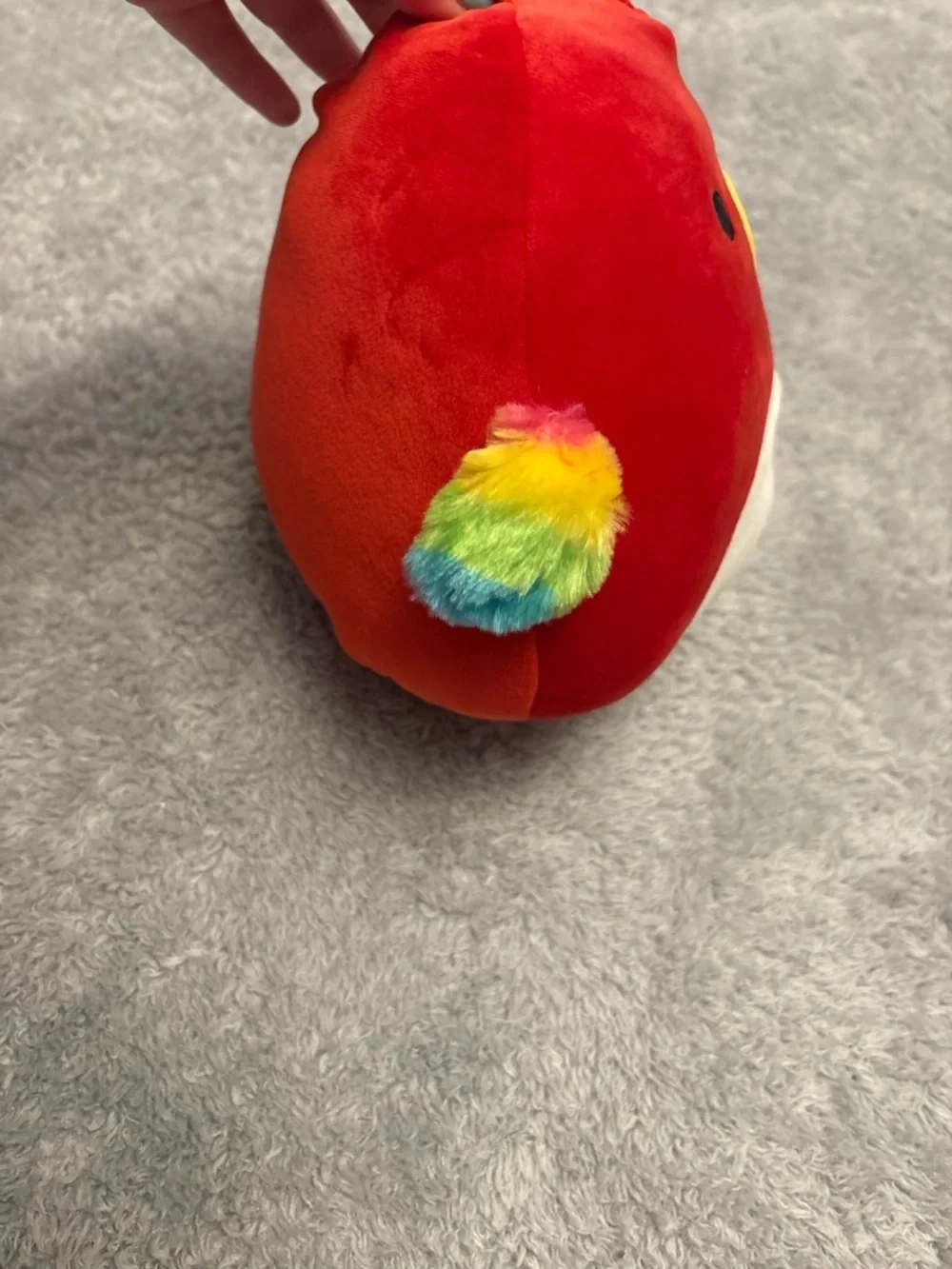 Squishmallows Paco The Parrot